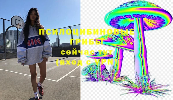 ГАЛЛЮЦИНОГЕННЫЕ ГРИБЫ Верхний Тагил