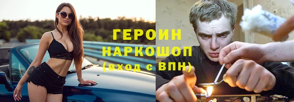 прущие грибы Богородицк