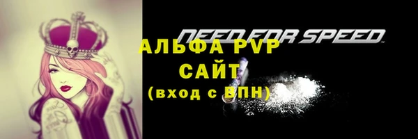 ГАЛЛЮЦИНОГЕННЫЕ ГРИБЫ Верхний Тагил