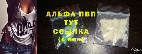 эйфоретик Верея