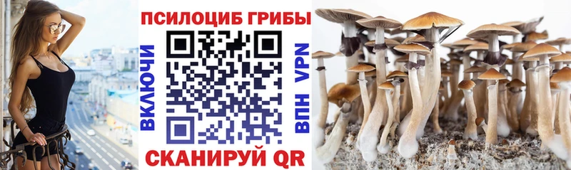 продажа наркотиков  Касли  Псилоцибиновые грибы мухоморы 